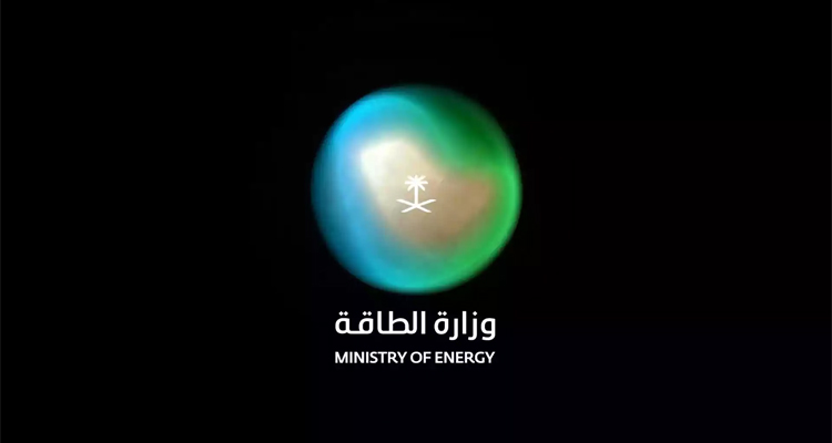 ɳذԴáLOGO
